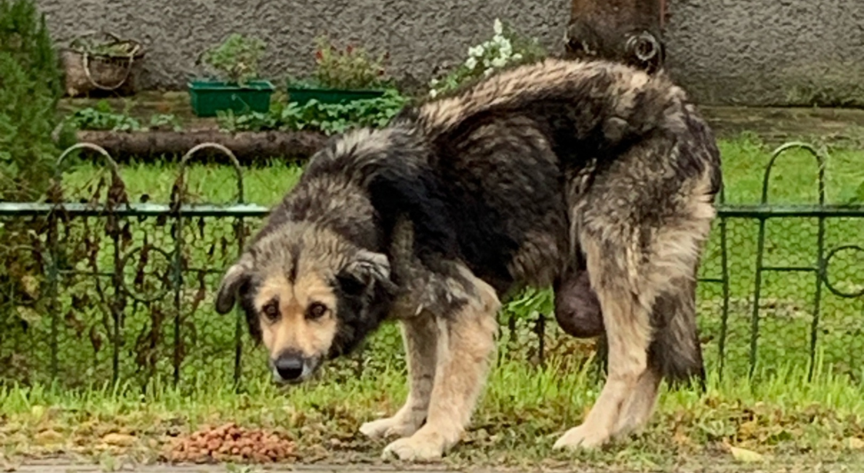 Новостное изображение